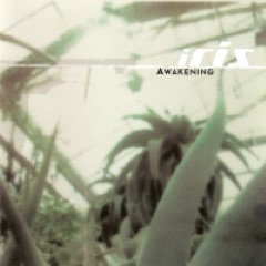 Album Thumb