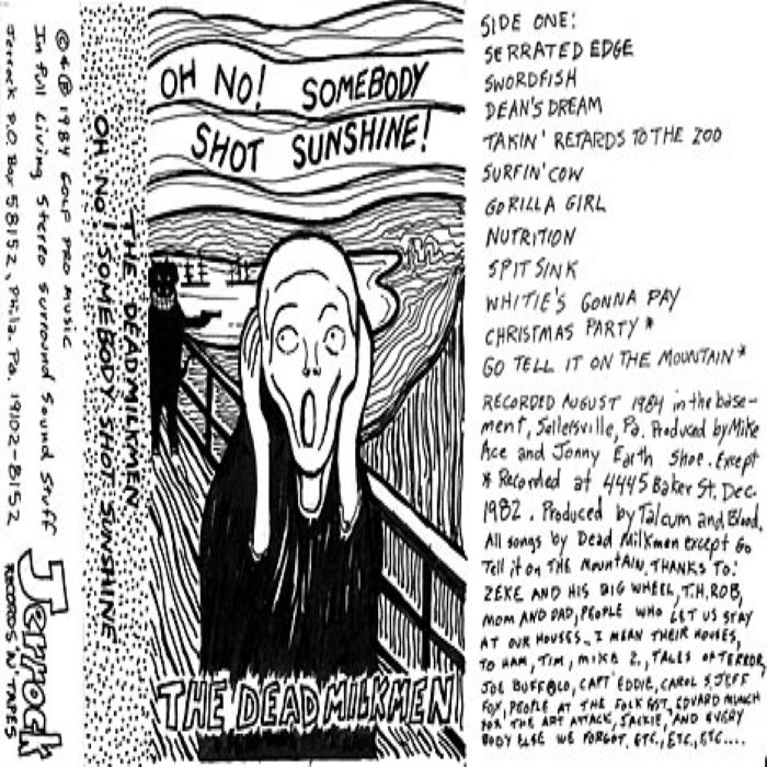 Somebody Shot Sunshine cover
