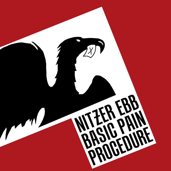 Basic Pain Procedure cover