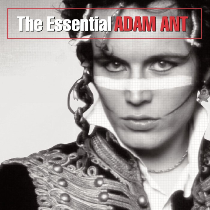 The Essential Adam Ant cover
