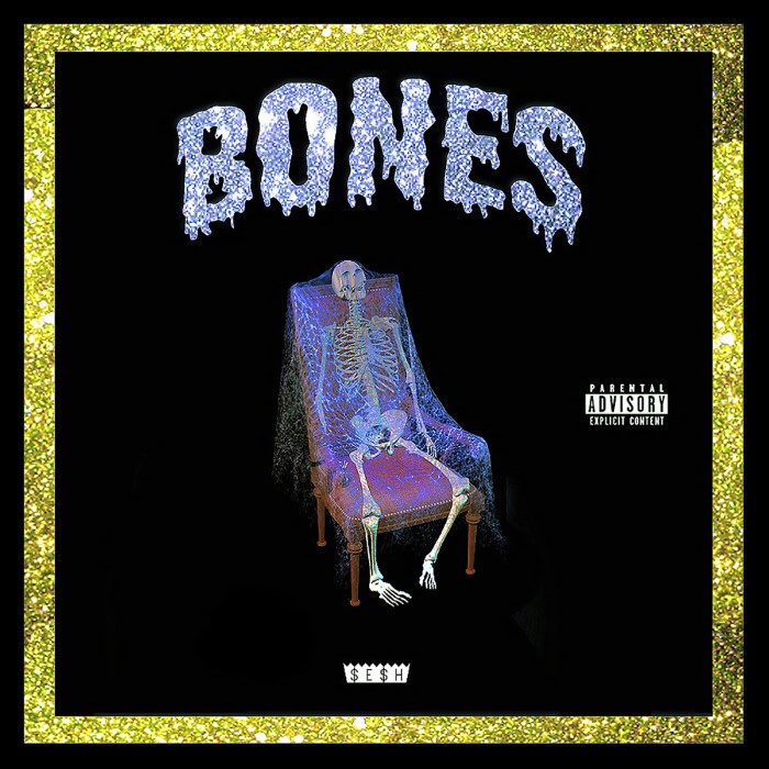 Bones cover