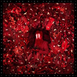 Album Thumb