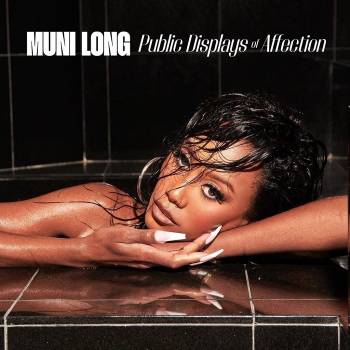 Public Displays of Affection cover