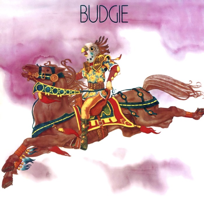 Budgie cover