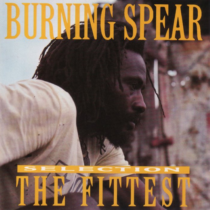 The Fittest Selection cover