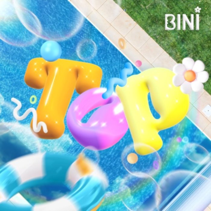 TOP cover