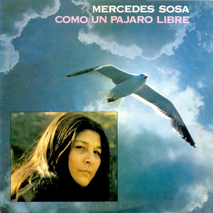 Como un pájaro libre cover