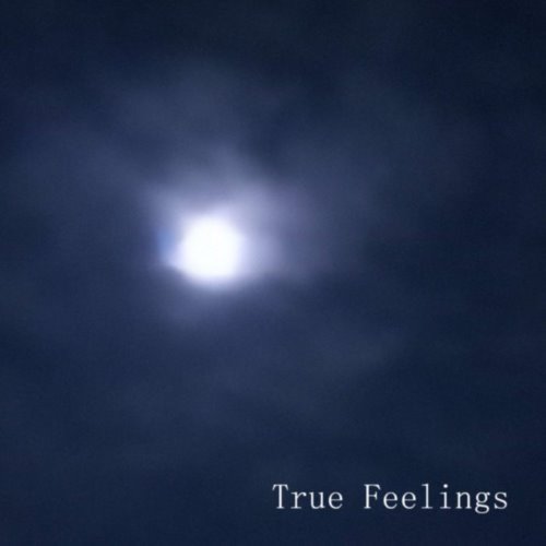 True Feelings album thumb