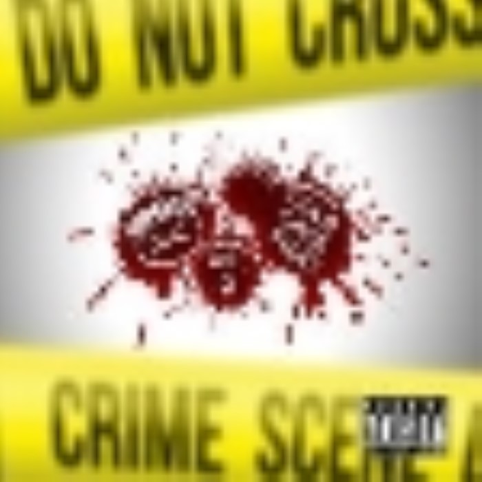 Cold Case Files: Murder Investigation cover