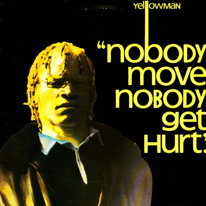 Nobody Move Nobody Get Hurt cover