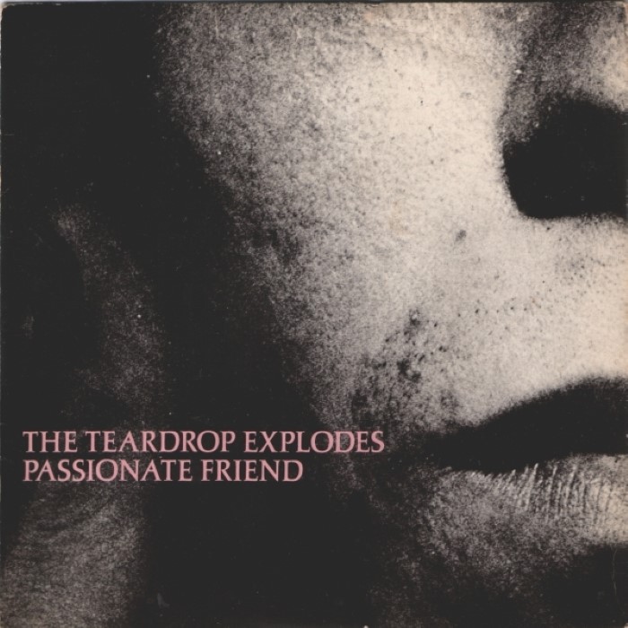 Passionate Friend cover