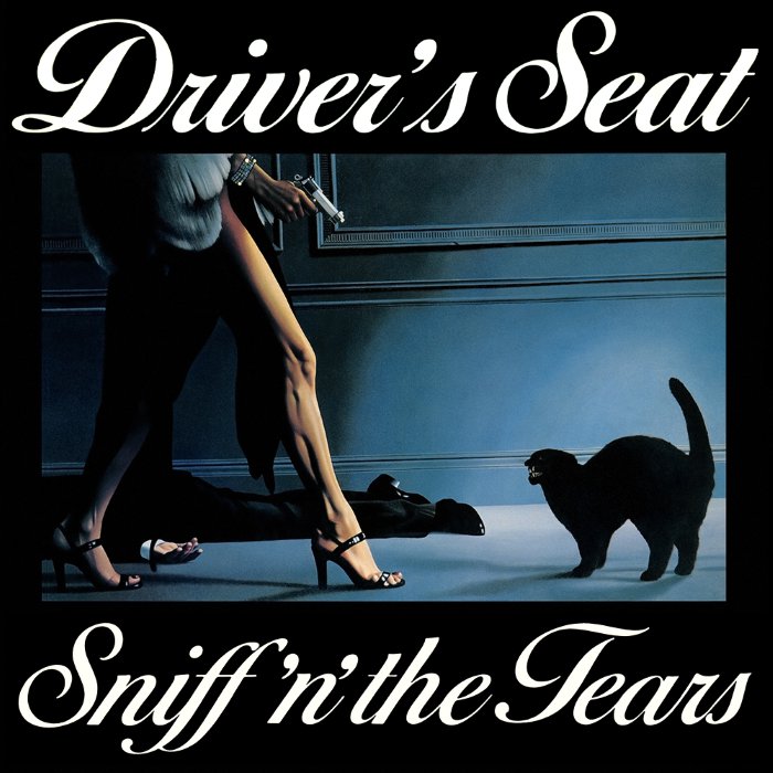 Driver's Seat cover