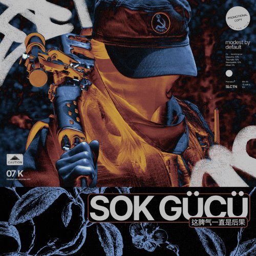 SOK GÜCÜ (这脾气一直是后果) album thumb