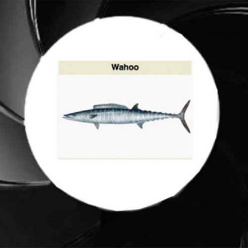 Meme Mixtape album thumb