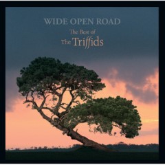 Album Thumb