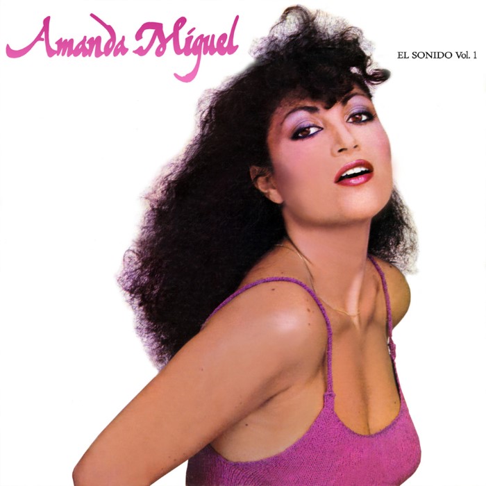 El sonido, volumen 1 cover
