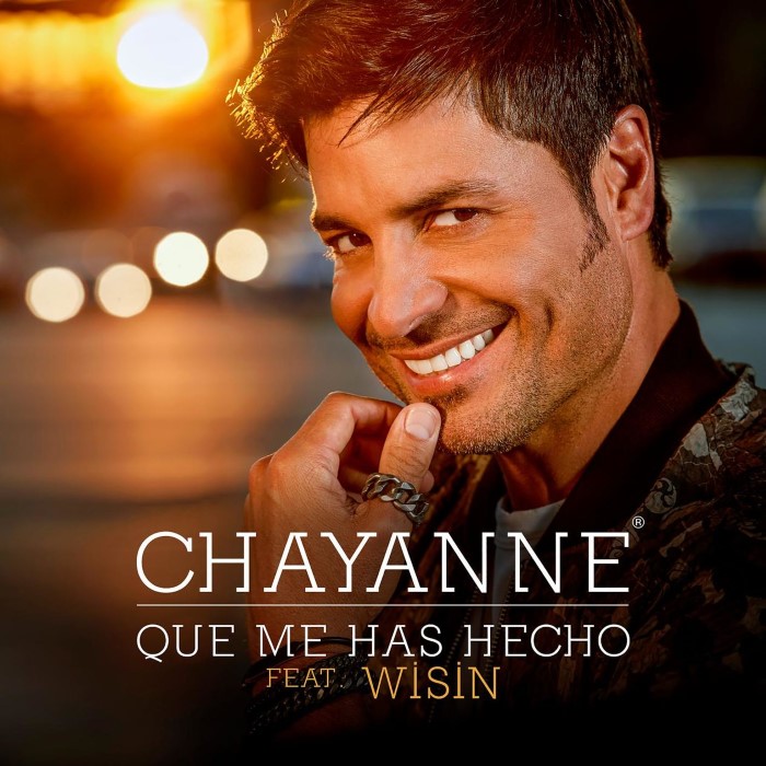 Qué me has hecho cover