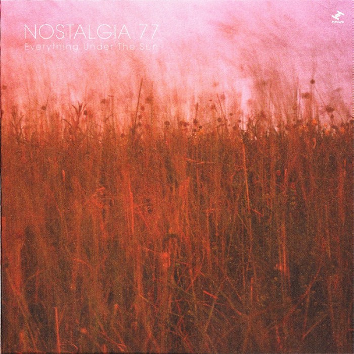 Everything Under the Sun