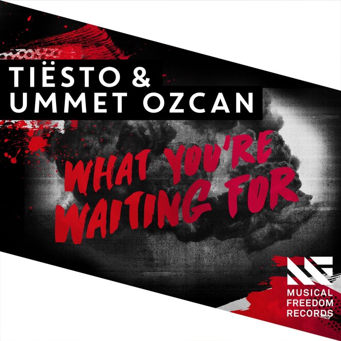 What You're Waiting For cover