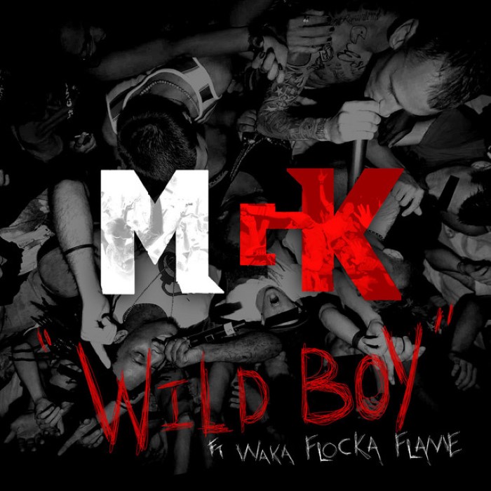 Wild Boy cover