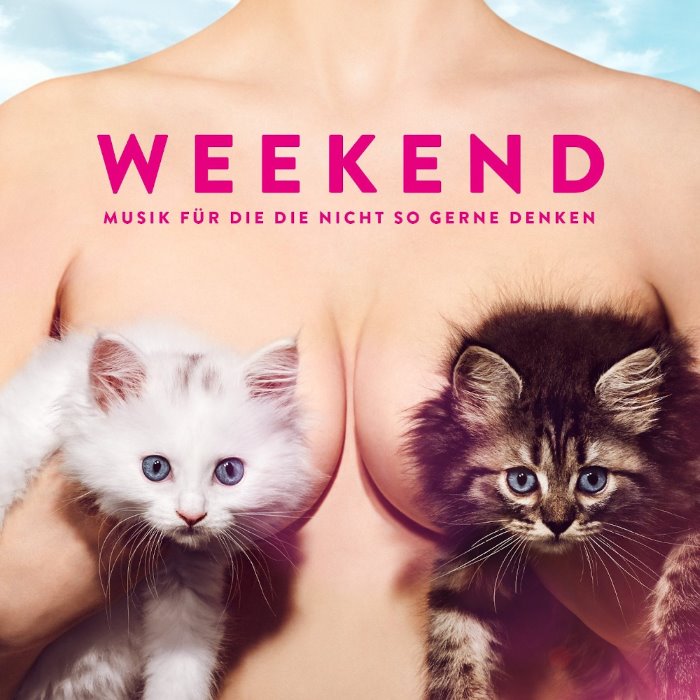 Musik für die die nicht so gerne denken cover