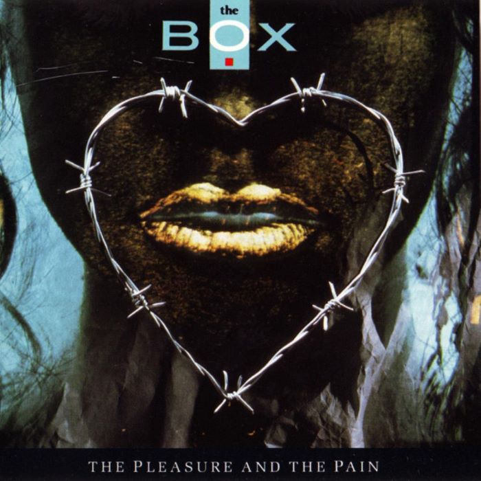 The Pleasure and the Pain cover