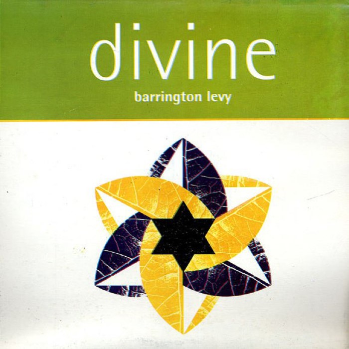 Divine cover