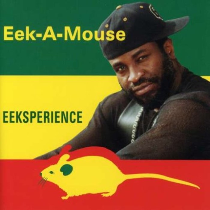 Eeksperience cover