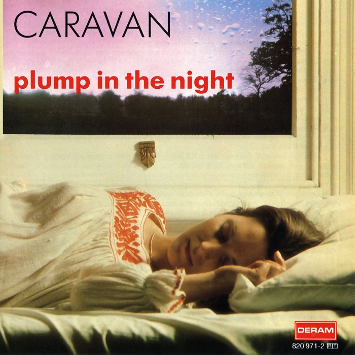 For Girls Who Grow Plump in the Night cover