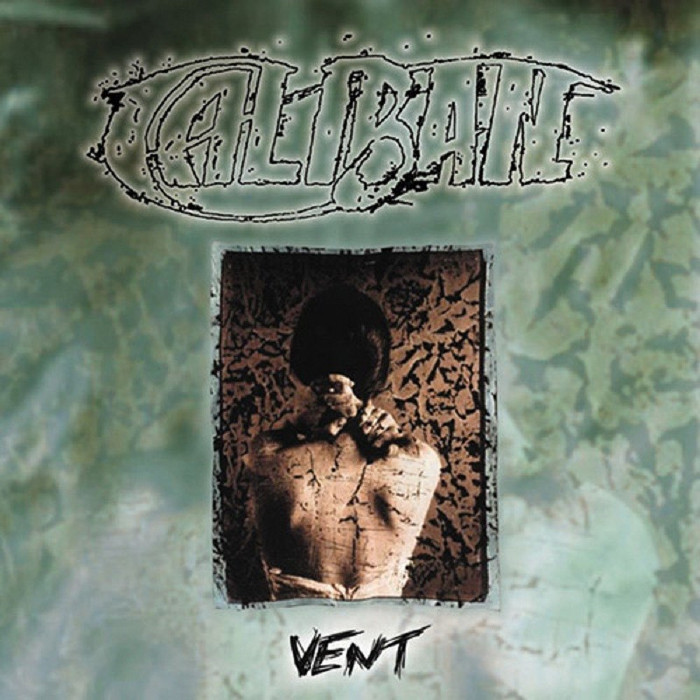 Vent cover