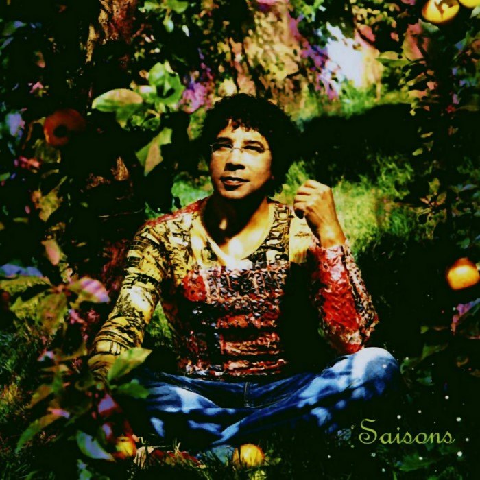 Saisons cover