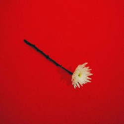 Album Thumb