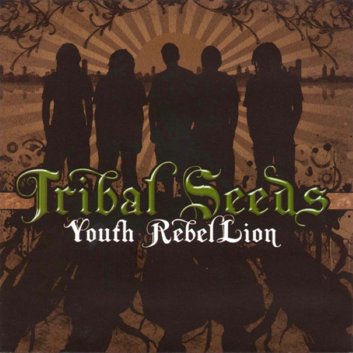 Youth Rebel Lion cover