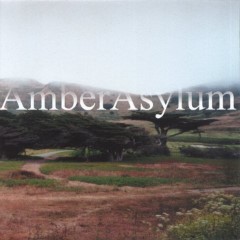 Album Thumb