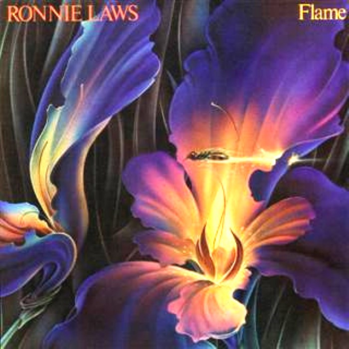 Flame cover