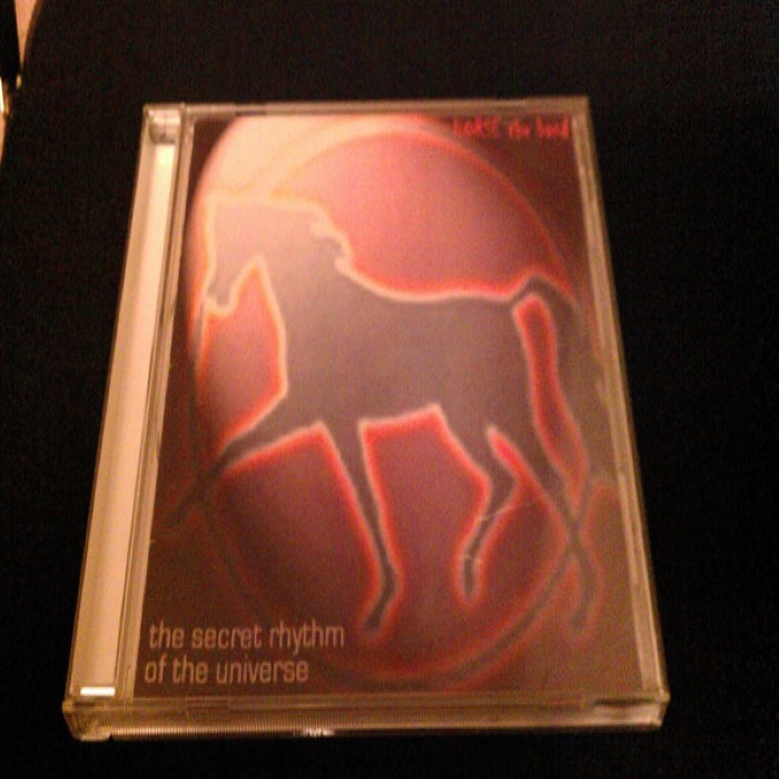 The Secret Rhythm of the Universe cover