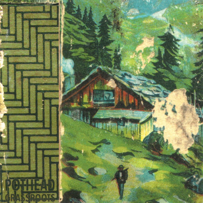 Grassroots cover