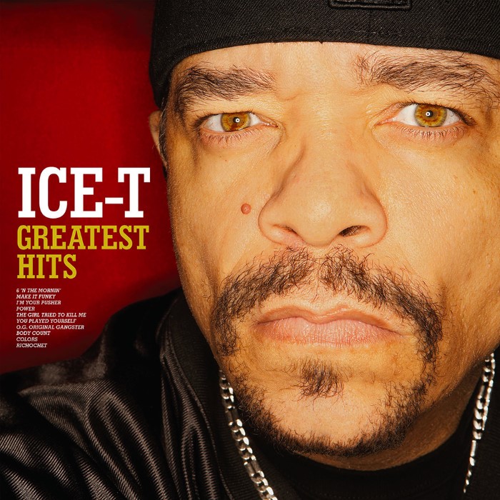 Greatest Hits: The Evidence cover