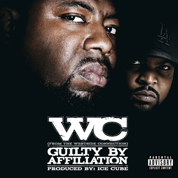 Guilty by Affiliation cover