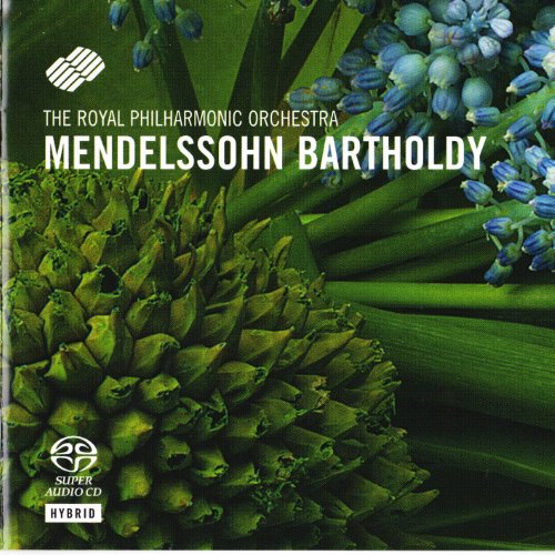 Violin Concerto / A Midsummer Night album thumb