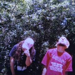 Album Thumb