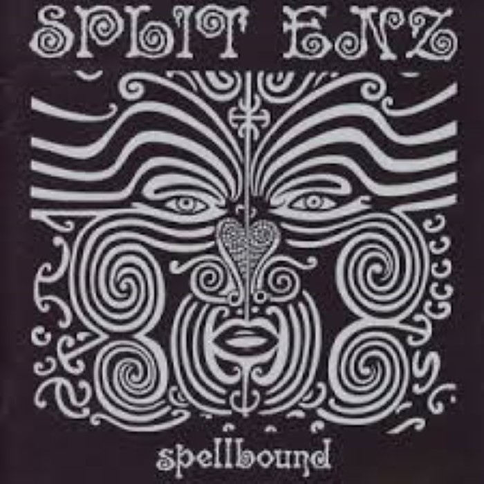The Very Best of Split Enz cover