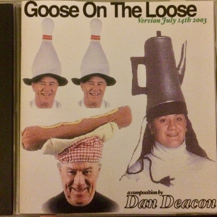 Goose on the Loose cover
