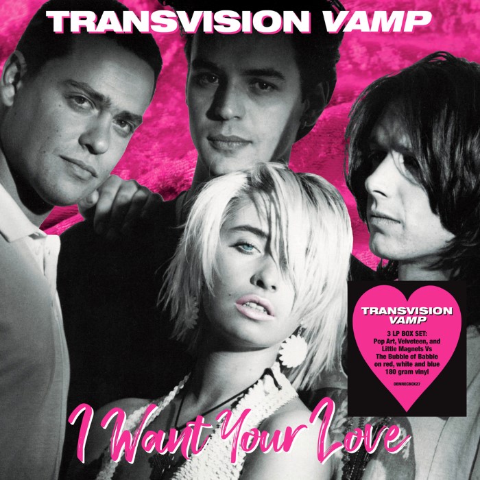 I Want Your Love (I Don't Want Your Money mix) cover