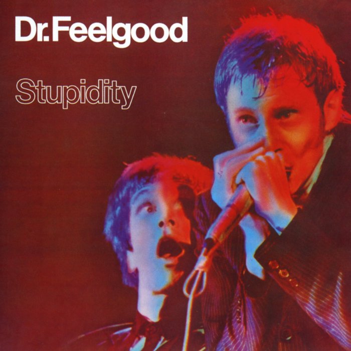 Stupidity cover