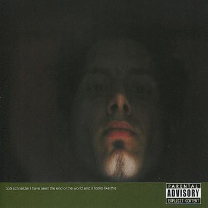 I Have Seen the End of the World and It Looks Like This cover