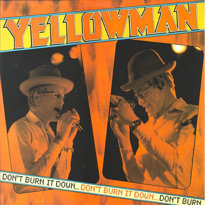 Don't Burn It Down cover
