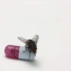 Album Thumb