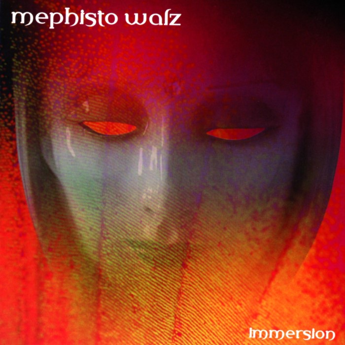 Immersion cover