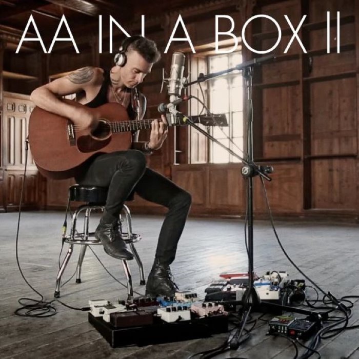 Avidan in a Box II cover